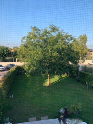 8_div_DRAG-IMG-TESTO-3_20191023_100813