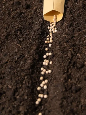 prodotti per le piante