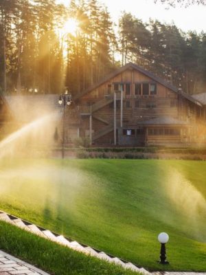 sm_AdobeStock_164262774