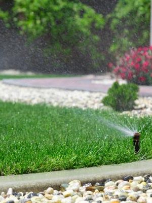 sm_AdobeStock_66227493