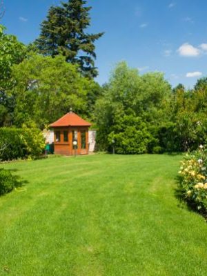 sm_Fotolia_100258366_Subscription_Monthly_M