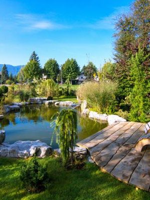 sm_Fotolia_126249509_Subscription_Monthly_M