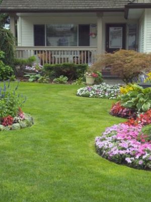 sm_Fotolia_35357358_Subscription_Monthly_M